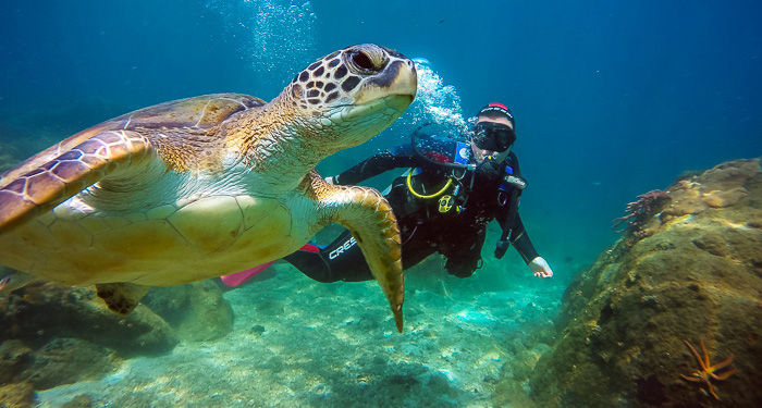 Praias de Ilha Grande